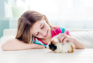 Hamster als Haustier für Kinder